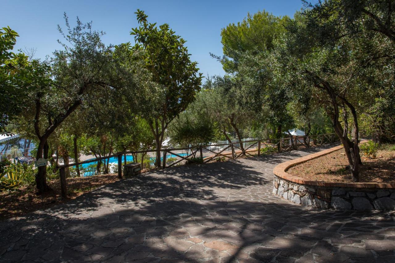 Hotel Villa Delle Meraviglie Maratea Ngoại thất bức ảnh
