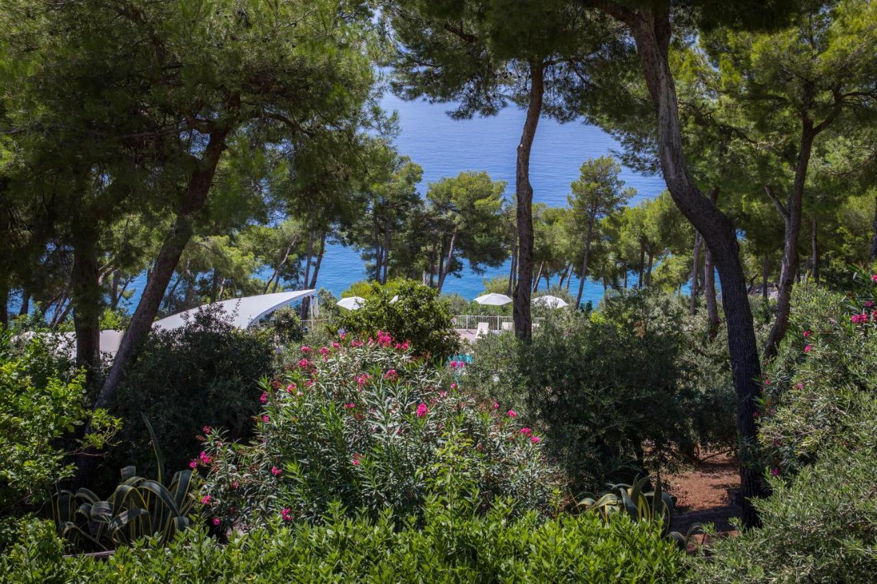 Hotel Villa Delle Meraviglie Maratea Ngoại thất bức ảnh